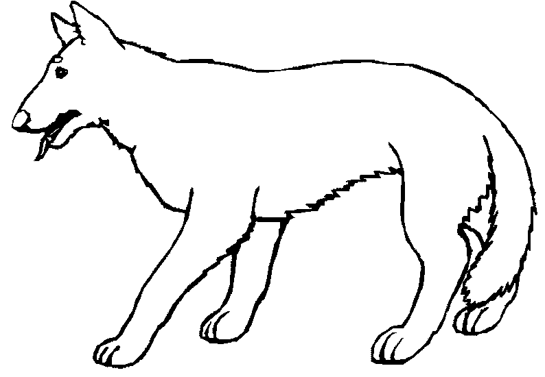 Dibujo para colorear: Lobo (Animales) #10505 - Dibujos para Colorear e Imprimir Gratis