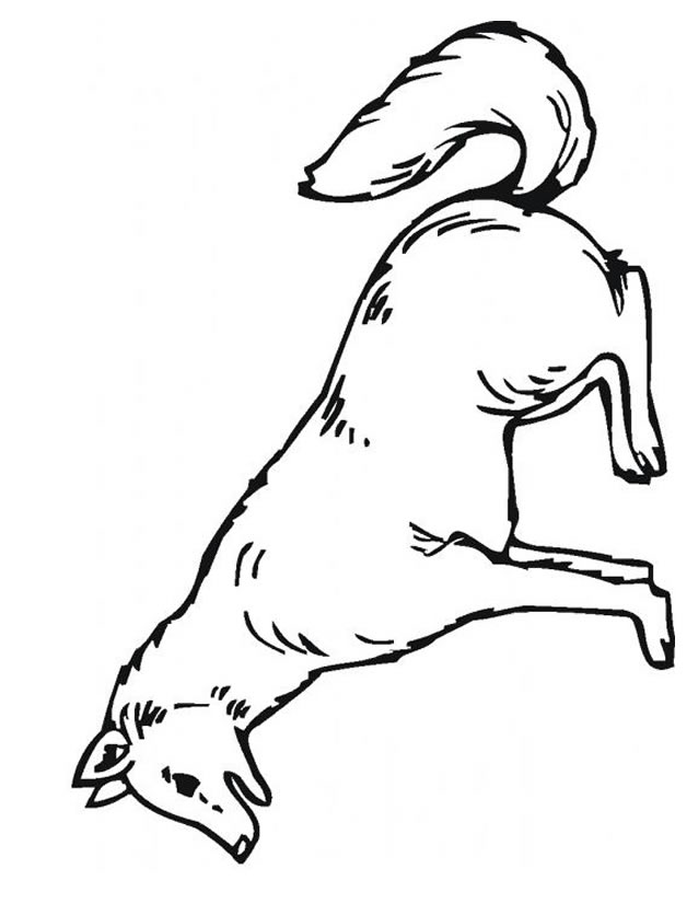 Dibujo para colorear: Lobo (Animales) #10508 - Dibujos para Colorear e Imprimir Gratis