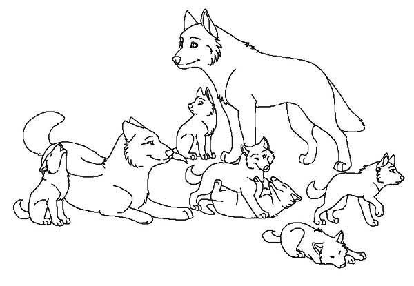 Dibujo para colorear: Lobo (Animales) #10556 - Dibujos para Colorear e Imprimir Gratis