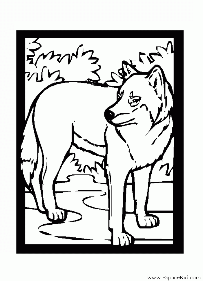Dibujo para colorear: Lobo (Animales) #10603 - Dibujos para Colorear e Imprimir Gratis