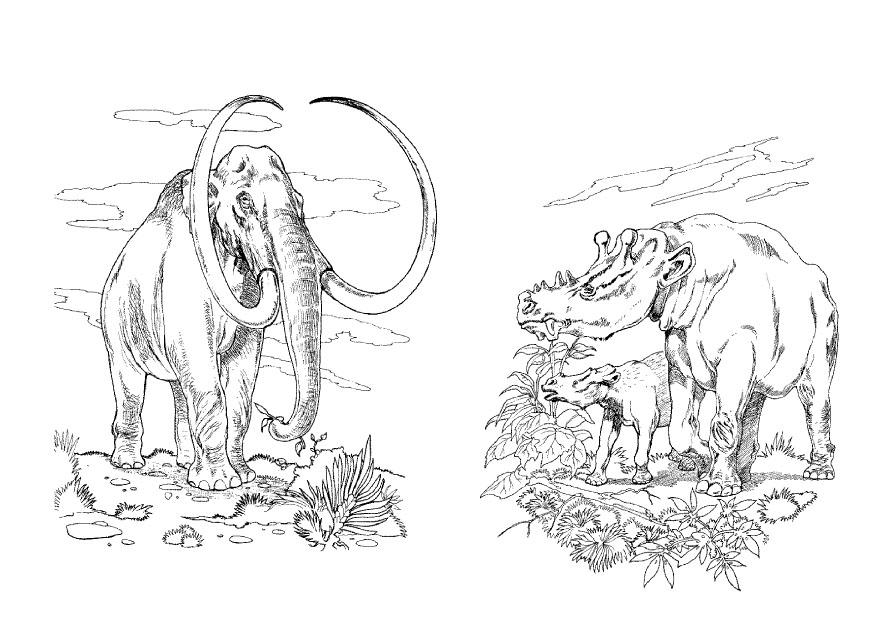 Dibujo para colorear: Mamut (Animales) #19282 - Dibujos para Colorear e Imprimir Gratis