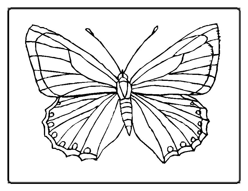 Dibujo para colorear: Mariposa (Animales) #15663 - Dibujos para Colorear e Imprimir Gratis