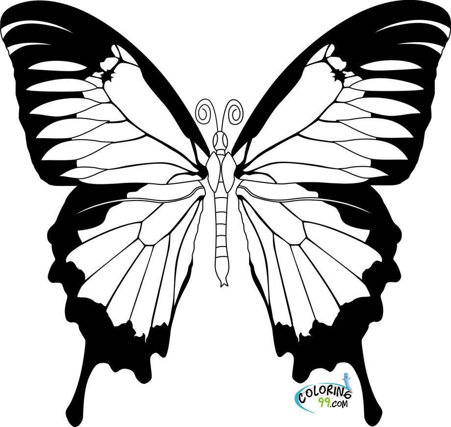 Dibujo para colorear: Mariposa (Animales) #15664 - Dibujos para Colorear e Imprimir Gratis