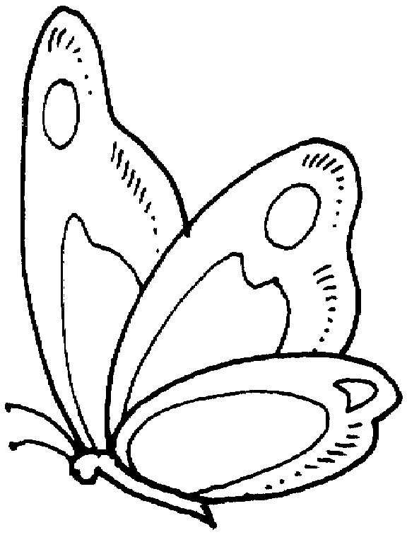 Dibujo para colorear: Mariposa (Animales) #15719 - Dibujos para Colorear e Imprimir Gratis