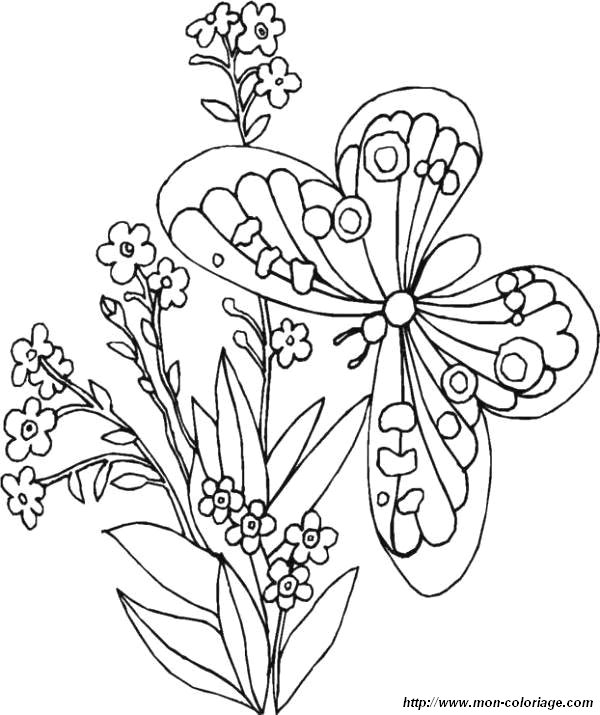 Dibujo para colorear: Mariposa (Animales) #15743 - Dibujos para Colorear e Imprimir Gratis