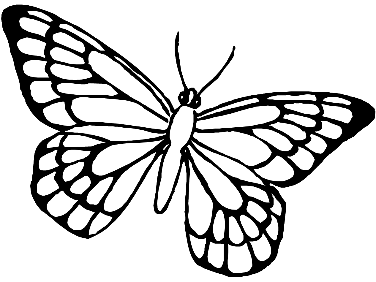 Dibujo para colorear: Mariposa (Animales) #15768 - Dibujos para Colorear e Imprimir Gratis