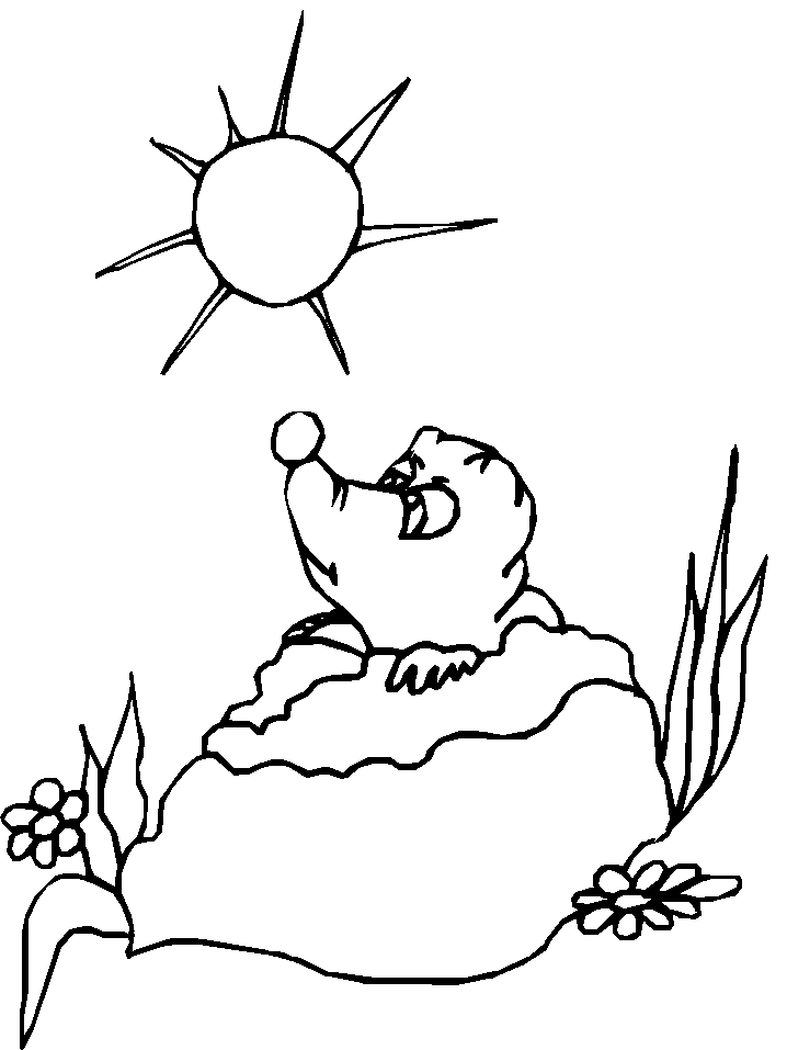 Dibujo para colorear: Marmota (Animales) #10904 - Dibujos para Colorear e Imprimir Gratis