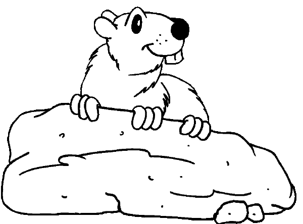 Dibujo para colorear: Marmota (Animales) #10936 - Dibujos para Colorear e Imprimir Gratis