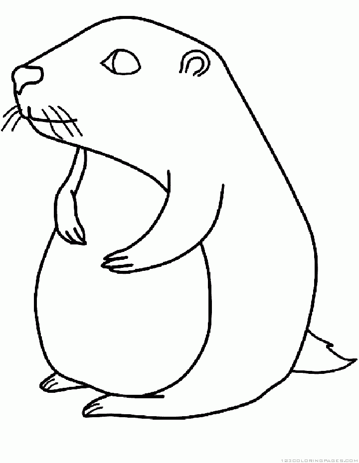 Dibujo para colorear: Marmota (Animales) #10958 - Dibujos para Colorear e Imprimir Gratis