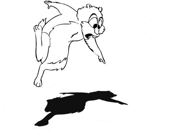 Dibujo para colorear: Marmota (Animales) #10995 - Dibujos para Colorear e Imprimir Gratis
