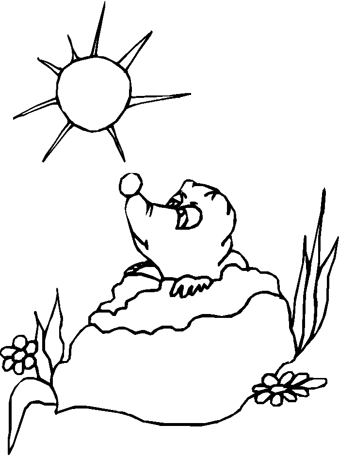 Dibujo para colorear: Marmota (Animales) #11034 - Dibujos para Colorear e Imprimir Gratis
