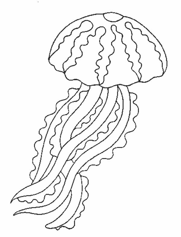 Dibujo para colorear: Medusa (Animales) #20380 - Dibujos para Colorear e Imprimir Gratis