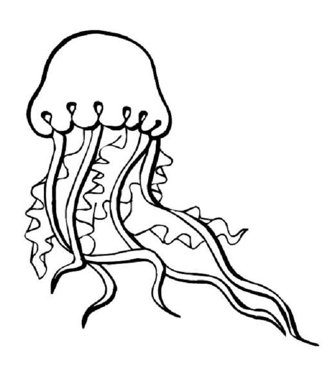 Dibujo para colorear: Medusa (Animales) #20381 - Dibujos para Colorear e Imprimir Gratis