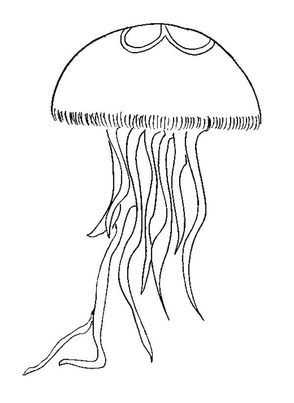 Dibujo para colorear: Medusa (Animales) #20399 - Dibujos para Colorear e Imprimir Gratis