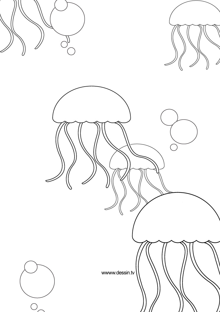Dibujo para colorear: Medusa (Animales) #20481 - Dibujos para Colorear e Imprimir Gratis