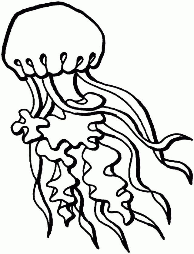 Dibujo para colorear: Medusa (Animales) #20510 - Dibujos para Colorear e Imprimir Gratis