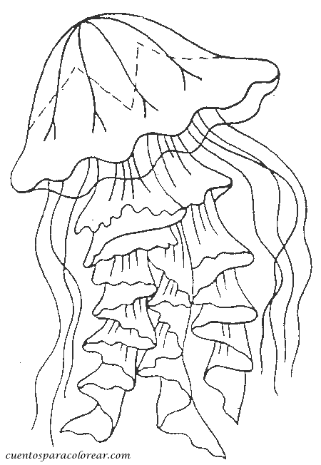Dibujo para colorear: Medusa (Animales) #20521 - Dibujos para Colorear e Imprimir Gratis