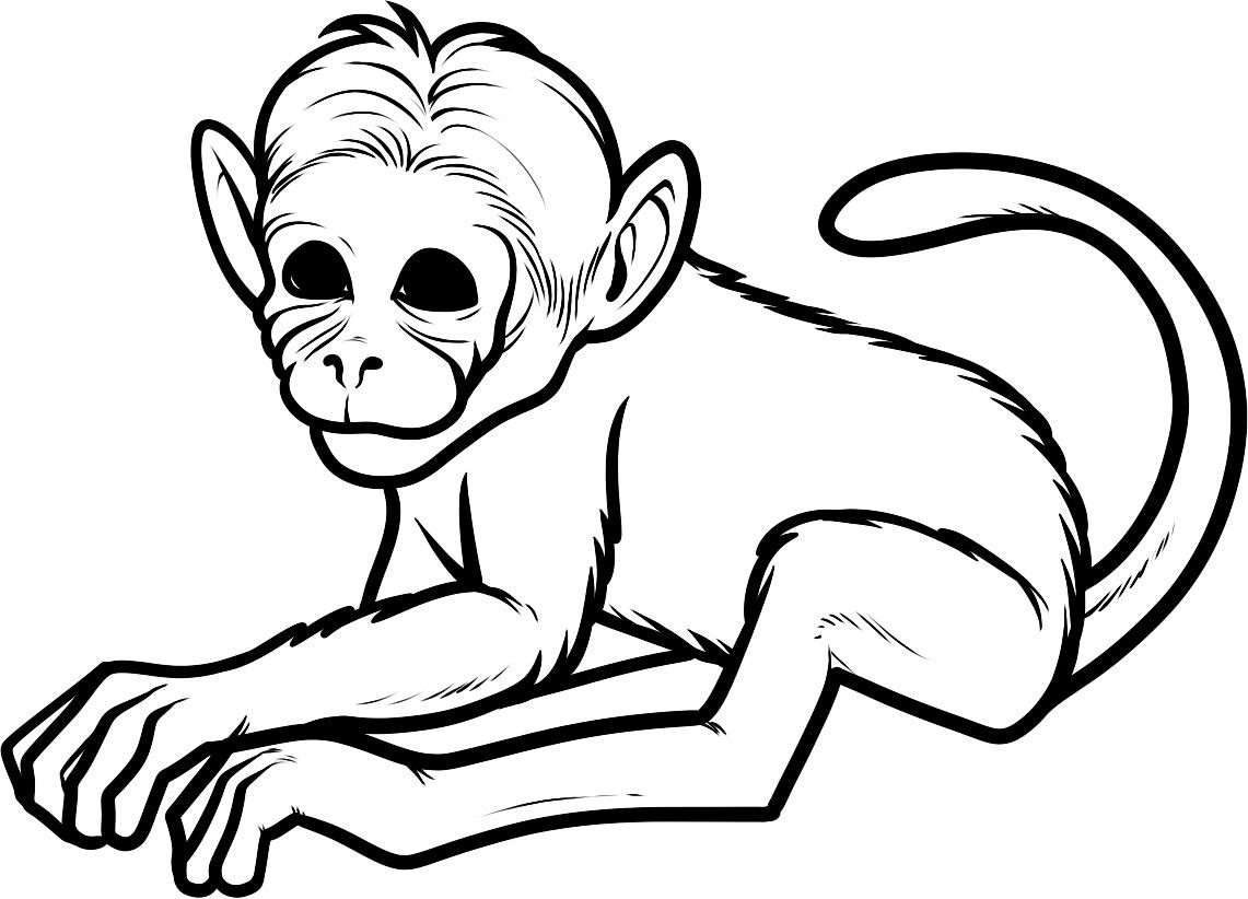 Dibujo para colorear: Mono (Animales) #14142 - Dibujos para Colorear e Imprimir Gratis