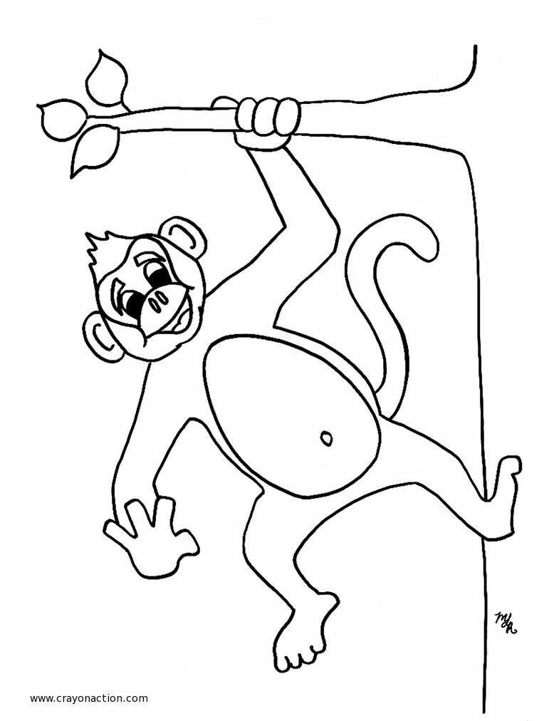 Dibujo para colorear: Mono (Animales) #14155 - Dibujos para Colorear e Imprimir Gratis