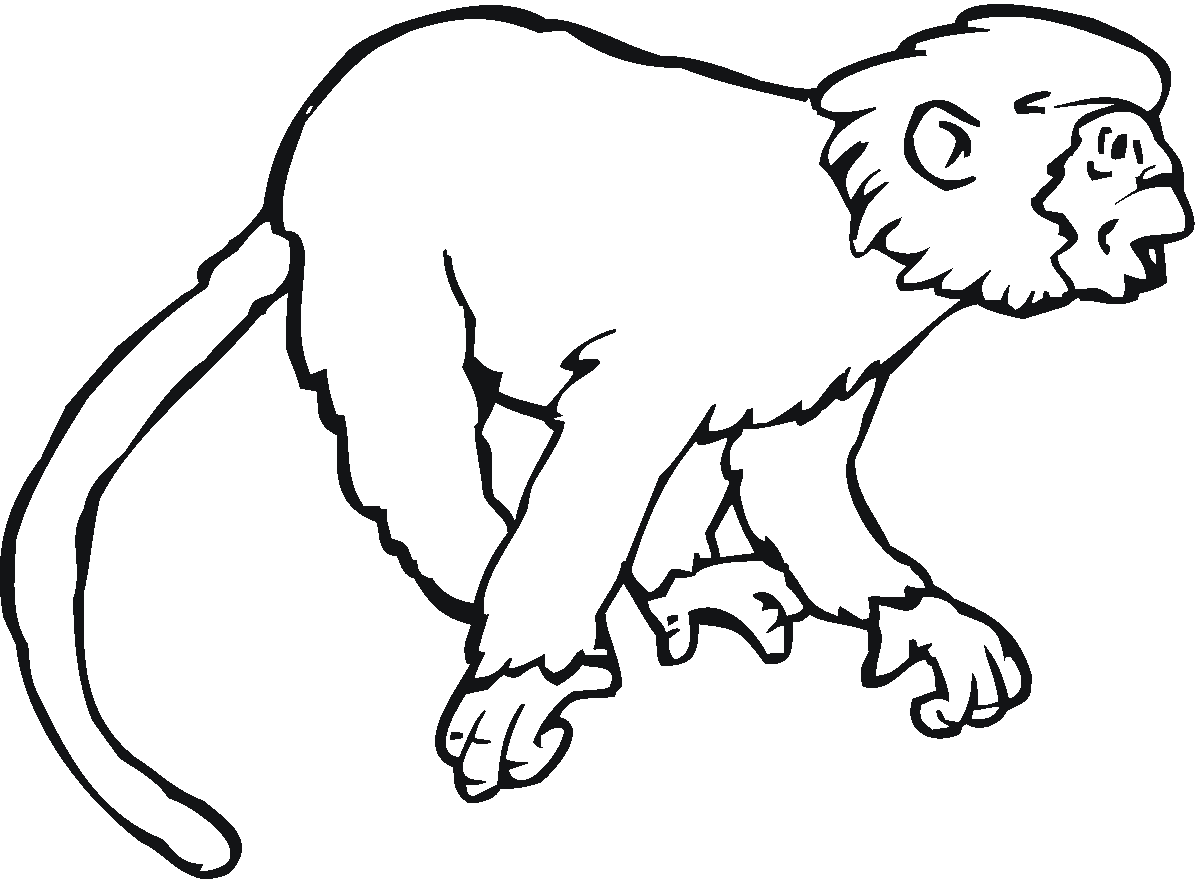 Dibujo para colorear: Mono (Animales) #14241 - Dibujos para Colorear e Imprimir Gratis