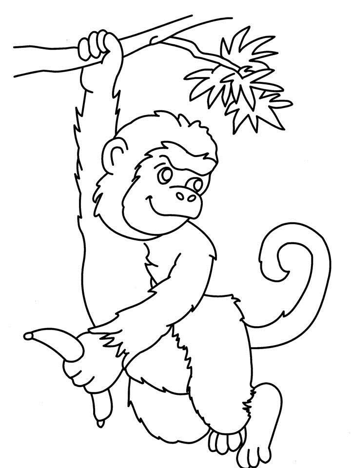 Dibujo para colorear: Mono (Animales) #14254 - Dibujos para Colorear e Imprimir Gratis