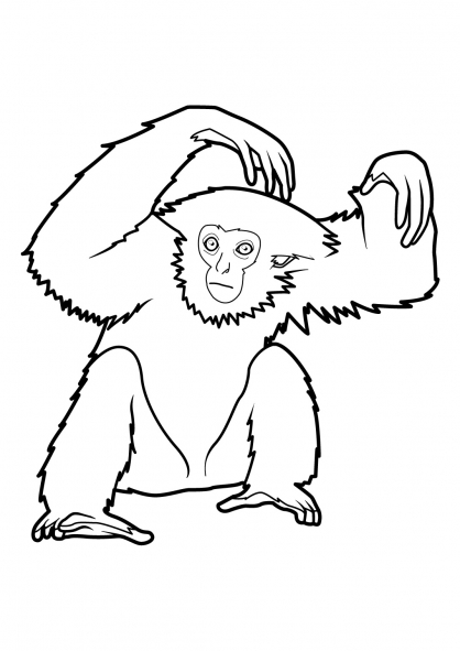 Dibujo para colorear: Mono (Animales) #14261 - Dibujos para Colorear e Imprimir Gratis