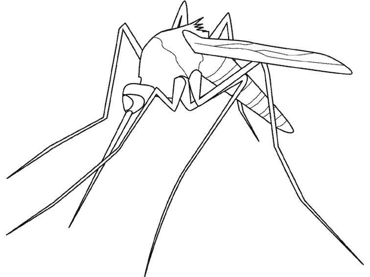 Dibujo para colorear: Mosquito (Animales) #11320 - Dibujos para Colorear e Imprimir Gratis