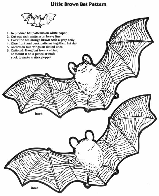 Dibujo para colorear: Muerciélago (Animales) #2092 - Dibujos para Colorear e Imprimir Gratis