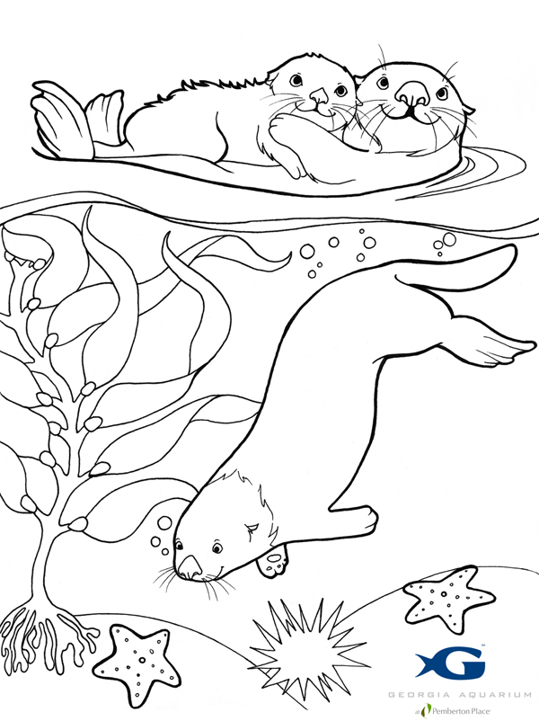 Dibujo para colorear: Nutria (Animales) #10645 - Dibujos para Colorear e Imprimir Gratis