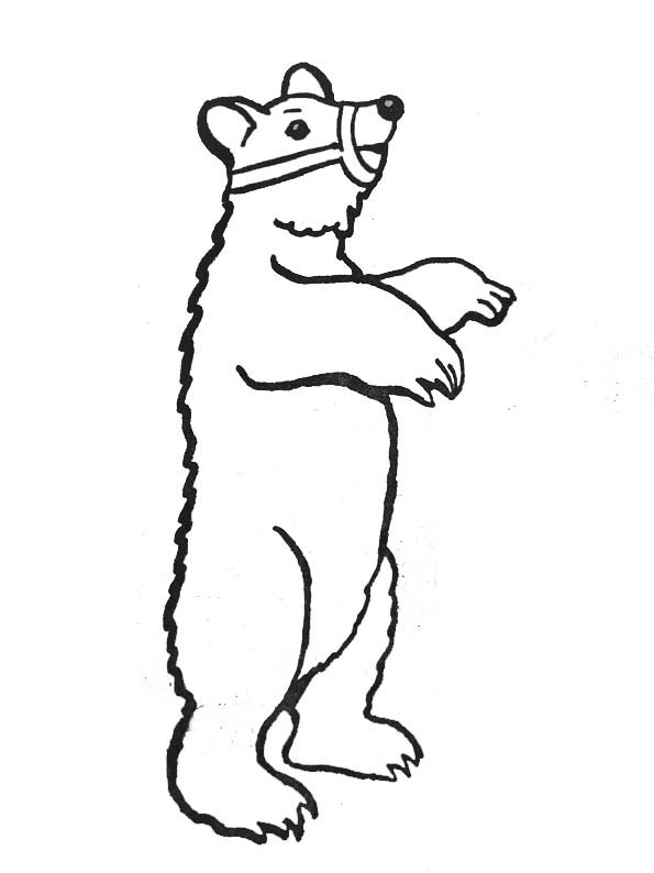 Dibujo para colorear: Oso (Animales) #12327 - Dibujos para Colorear e Imprimir Gratis