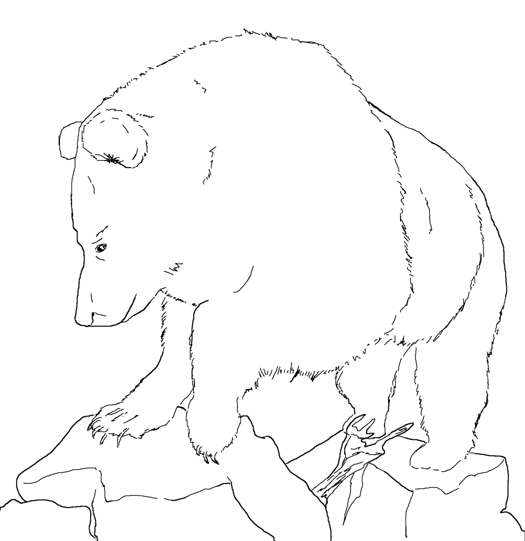 Dibujo para colorear: Oso (Animales) #12368 - Dibujos para Colorear e Imprimir Gratis