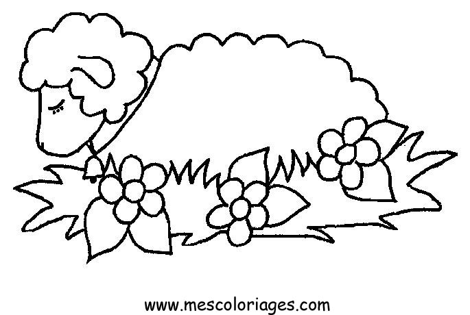 Dibujo para colorear: Oveja (Animales) #11391 - Dibujos para Colorear e Imprimir Gratis