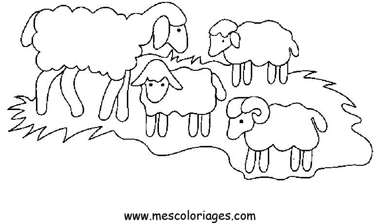 Dibujo para colorear: Oveja (Animales) #11414 - Dibujos para Colorear e Imprimir Gratis