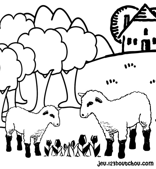 Dibujo para colorear: Oveja (Animales) #11416 - Dibujos para Colorear e Imprimir Gratis