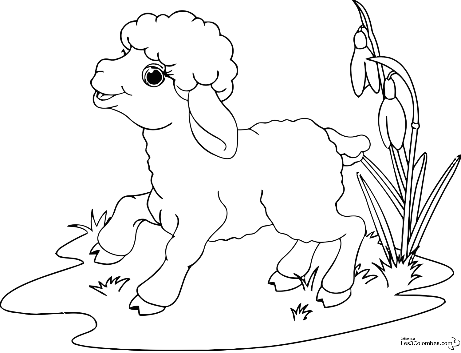 Dibujo para colorear: Oveja (Animales) #11422 - Dibujos para Colorear e Imprimir Gratis