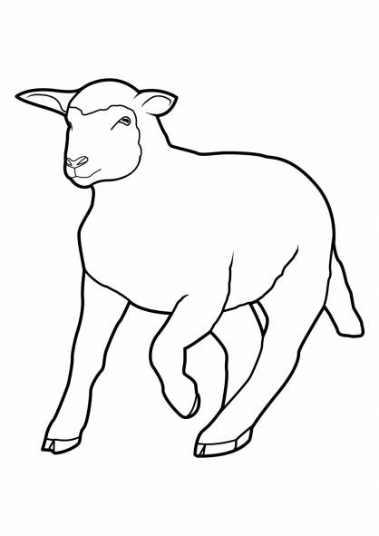 Dibujo para colorear: Oveja (Animales) #11428 - Dibujos para Colorear e Imprimir Gratis