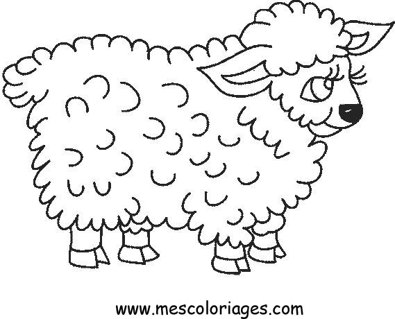 Dibujo para colorear: Oveja (Animales) #11438 - Dibujos para Colorear e Imprimir Gratis