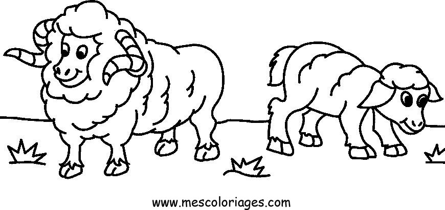 Dibujo para colorear: Oveja (Animales) #11456 - Dibujos para Colorear e Imprimir Gratis