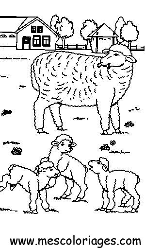 Dibujo para colorear: Oveja (Animales) #11474 - Dibujos para Colorear e Imprimir Gratis