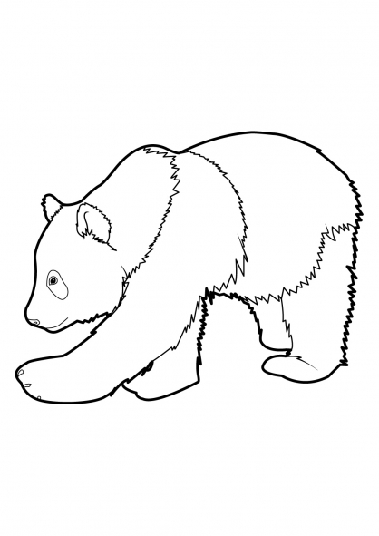 Dibujo para colorear: Panda (Animales) #12452 - Dibujos para Colorear e Imprimir Gratis