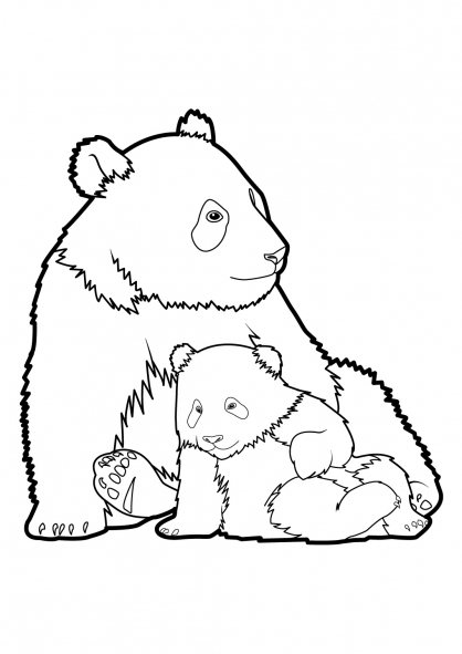 Dibujo para colorear: Panda (Animales) #12454 - Dibujos para Colorear e Imprimir Gratis