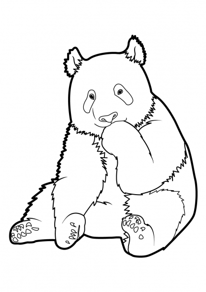Dibujo para colorear: Panda (Animales) #12465 - Dibujos para Colorear e Imprimir Gratis
