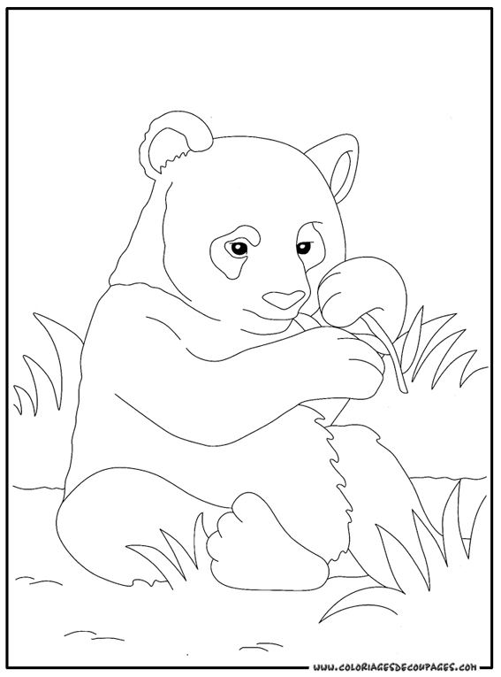Dibujo para colorear: Panda (Animales) #12488 - Dibujos para Colorear e Imprimir Gratis