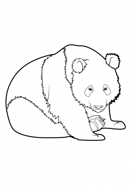Dibujo para colorear: Panda (Animales) #12509 - Dibujos para Colorear e Imprimir Gratis