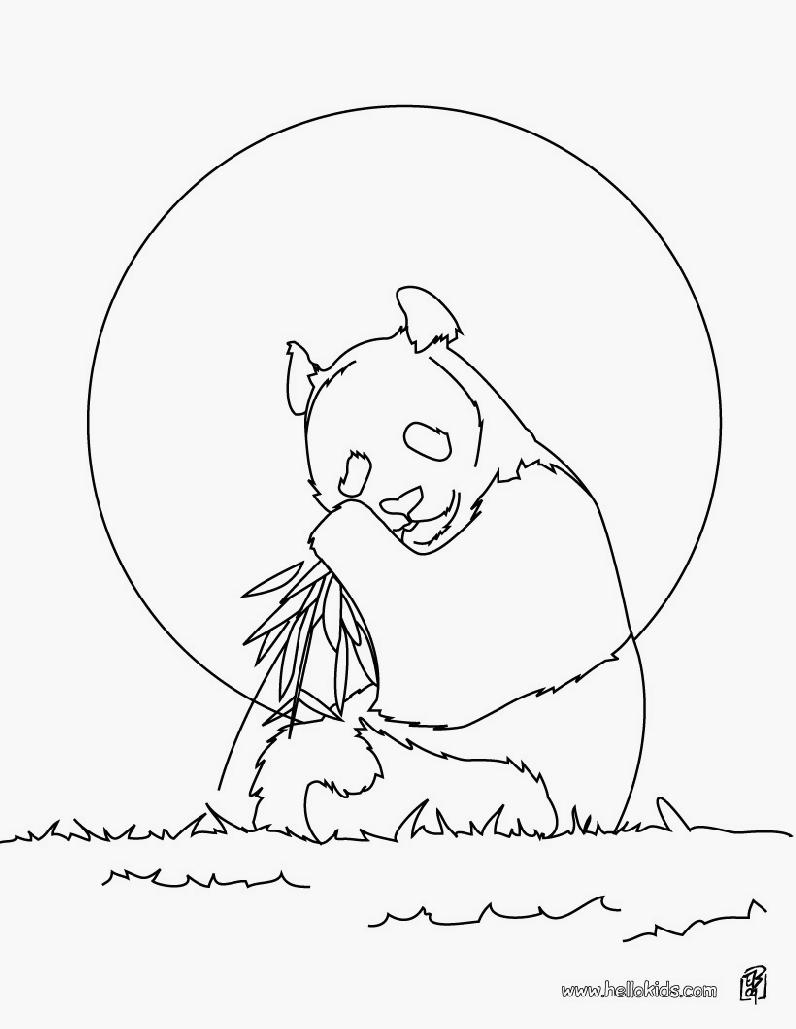 Dibujo para colorear: Panda (Animales) #12584 - Dibujos para Colorear e Imprimir Gratis