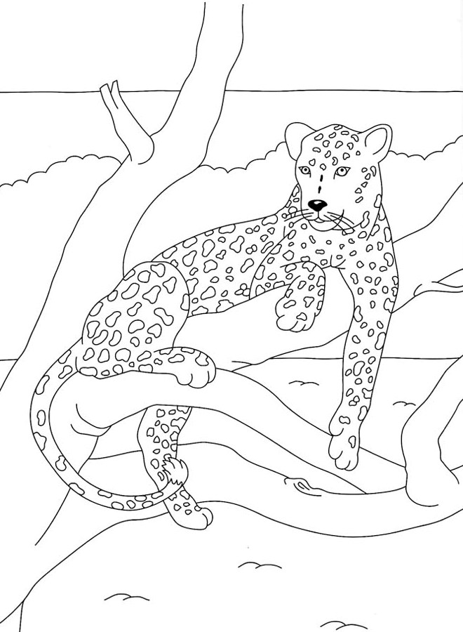 Dibujo para colorear: Pantera (Animales) #15557 - Dibujos para Colorear e Imprimir Gratis