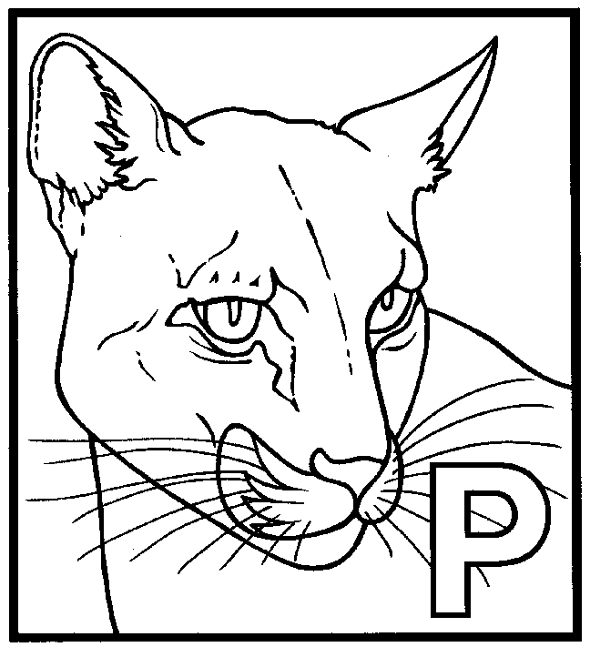 Dibujo para colorear: Pantera (Animales) #15594 - Dibujos para Colorear e Imprimir Gratis