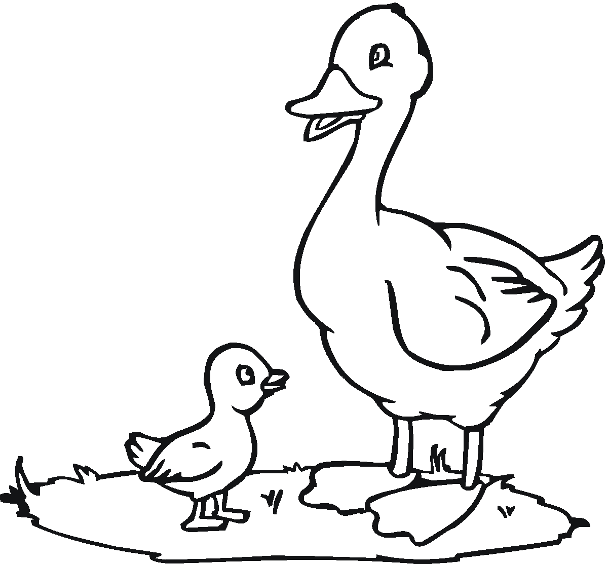 Dibujo para colorear: Pato (Animales) #1442 - Dibujos para Colorear e Imprimir Gratis