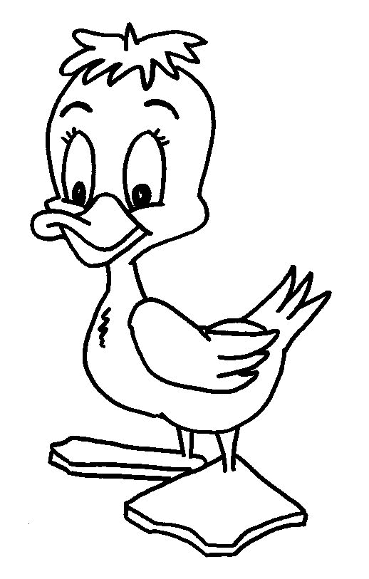 Dibujo para colorear: Pato (Animales) #1444 - Dibujos para Colorear e Imprimir Gratis