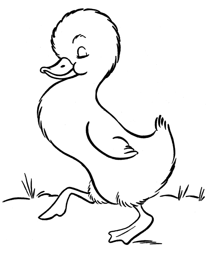 Dibujo para colorear: Pato (Animales) #1479 - Dibujos para Colorear e Imprimir Gratis